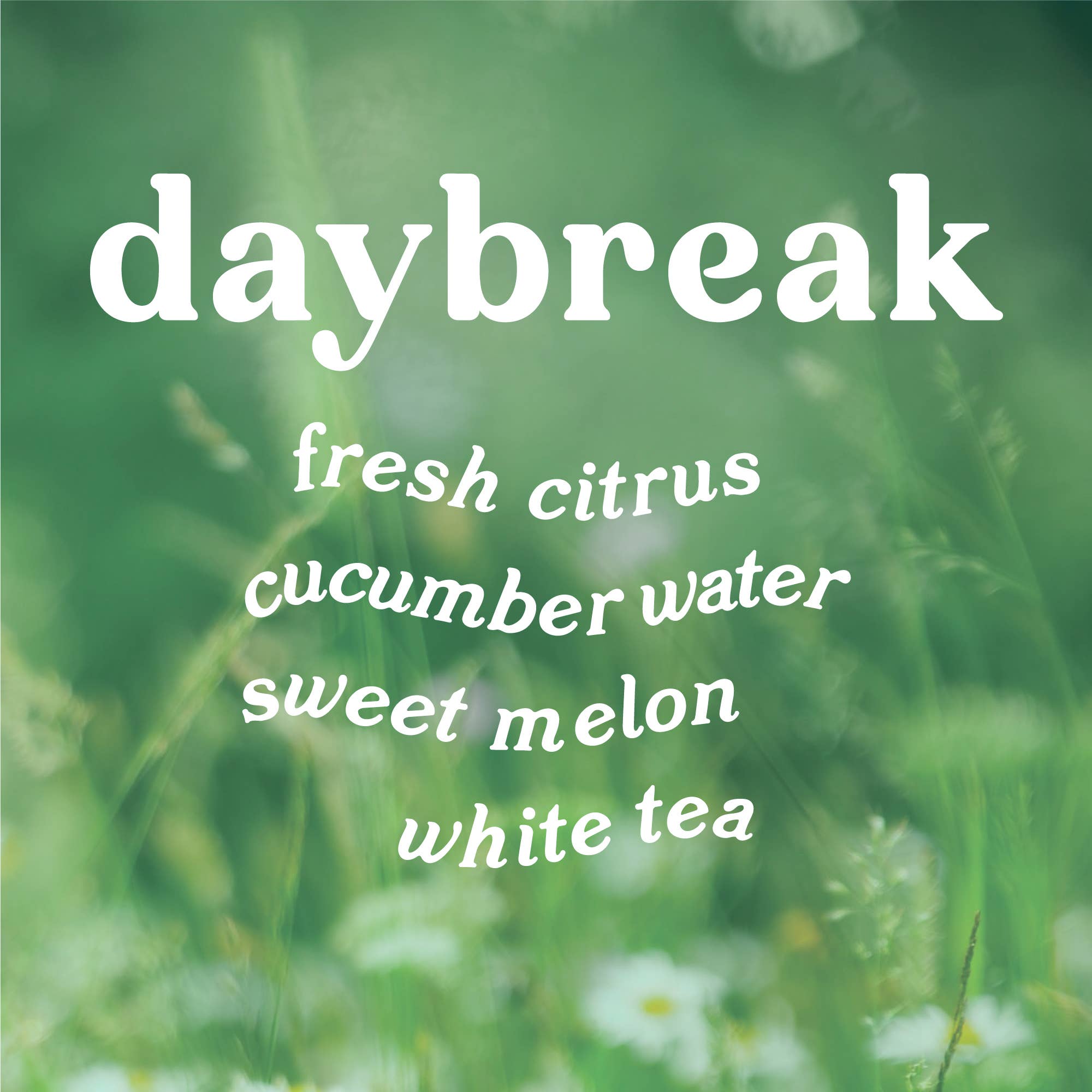 GP Candle Co. - Wholesale Jar/Filled Candle - Daybreak 9 oz. Hue Candle (Lemon + Cucumber)3