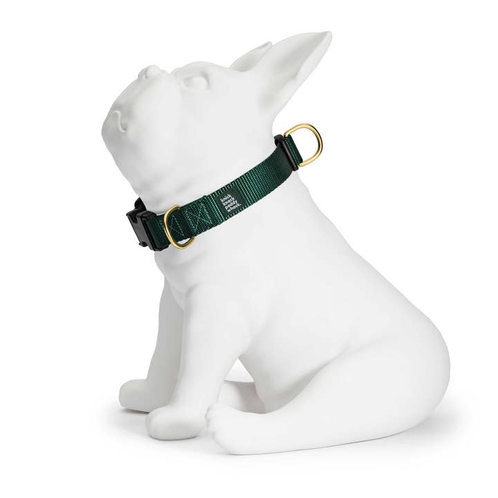 Knick Knack Paddywhack Dog Gear - Venta al por mayor Collar - Perros - Cuello con hebilla Hunter Green