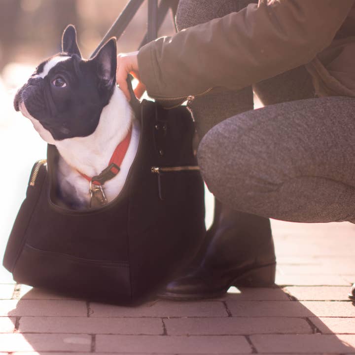 DJANGO - Wholesale Pet Carrier - Dog - Dog Carrier Bag - Black Waxed Canvas and Leather15