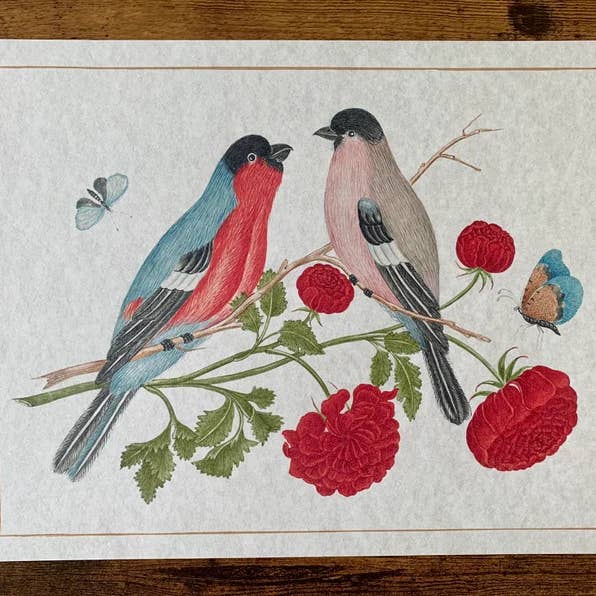 Magnifique Hearts - Wholesale Art Print - Ornithological Beautiful Botanical Bird Prints