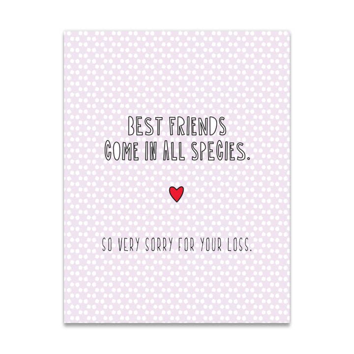 691 - Best Friends Come In All Species A2 card Pet Sympathy for wholesale by Near Modern Disaster