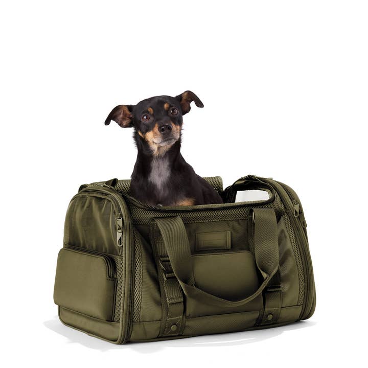 Dagne Dover - Wholesale Pet Carrier - Cat/Dog - Kyoto Pet Carrier in Dark Moss, Large