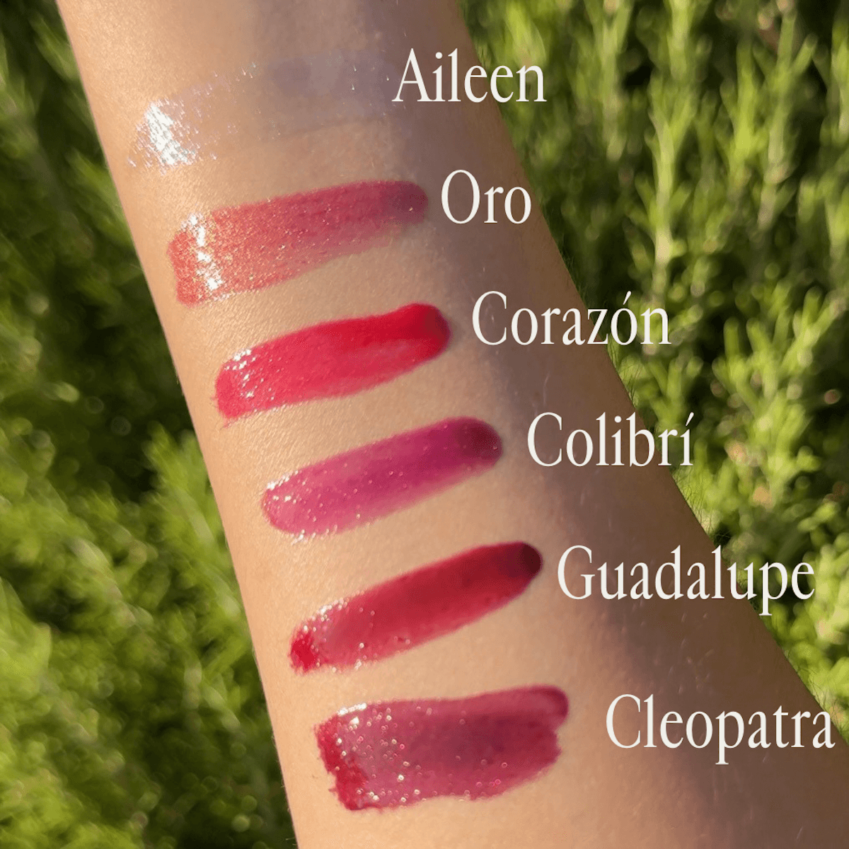 Vailetier - Wholesale Lip Gloss - Cleopatra Lip Gloss1