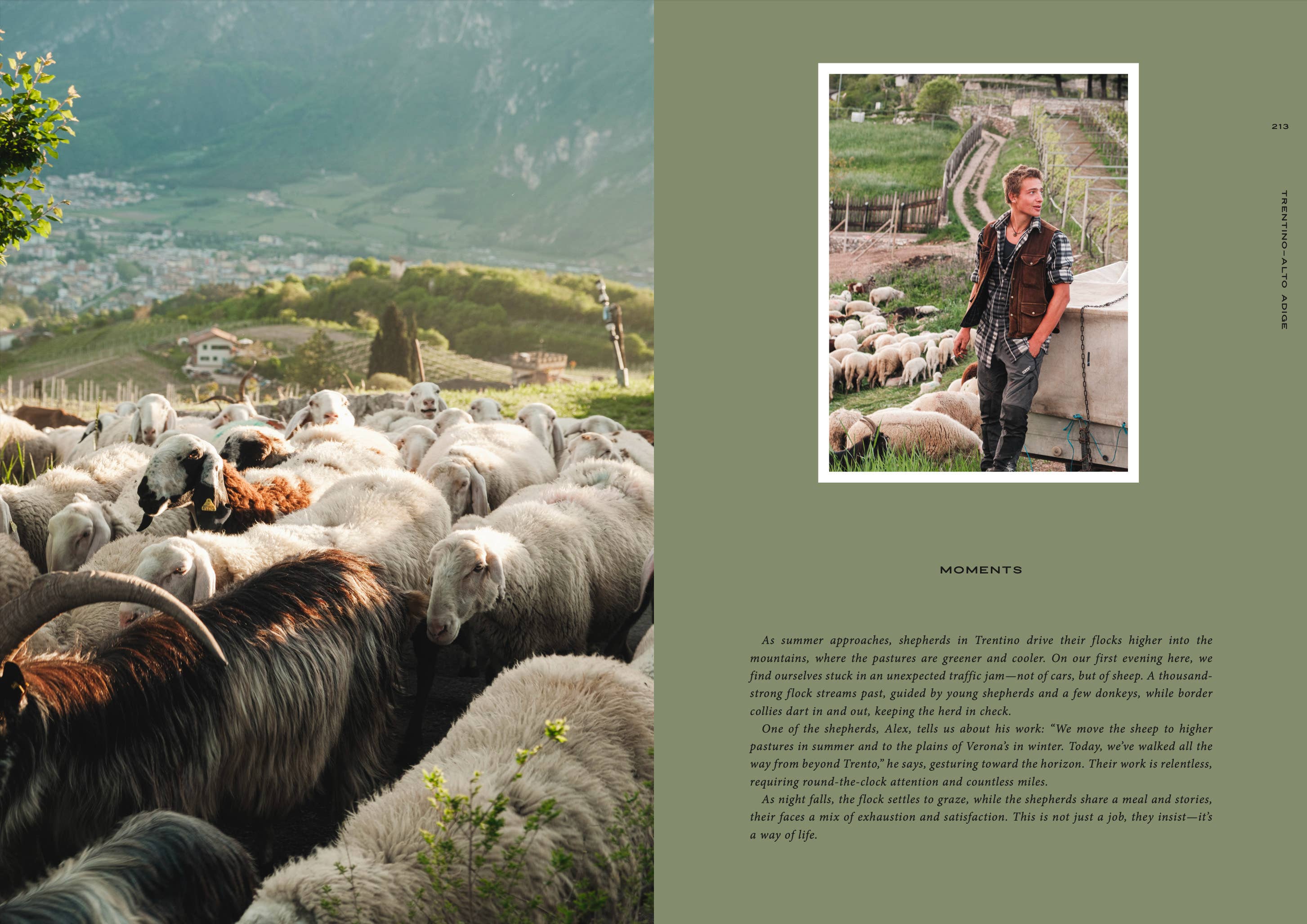 Cozy Publishing - Wholesale Travel Book - Travel Guide: Somewhere in Italy15