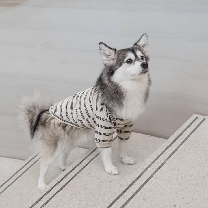 Lambwolf Collective - Wholesale Pet Shirt - Dog - CHELSEA // Dog Apparel// Dog Tee7