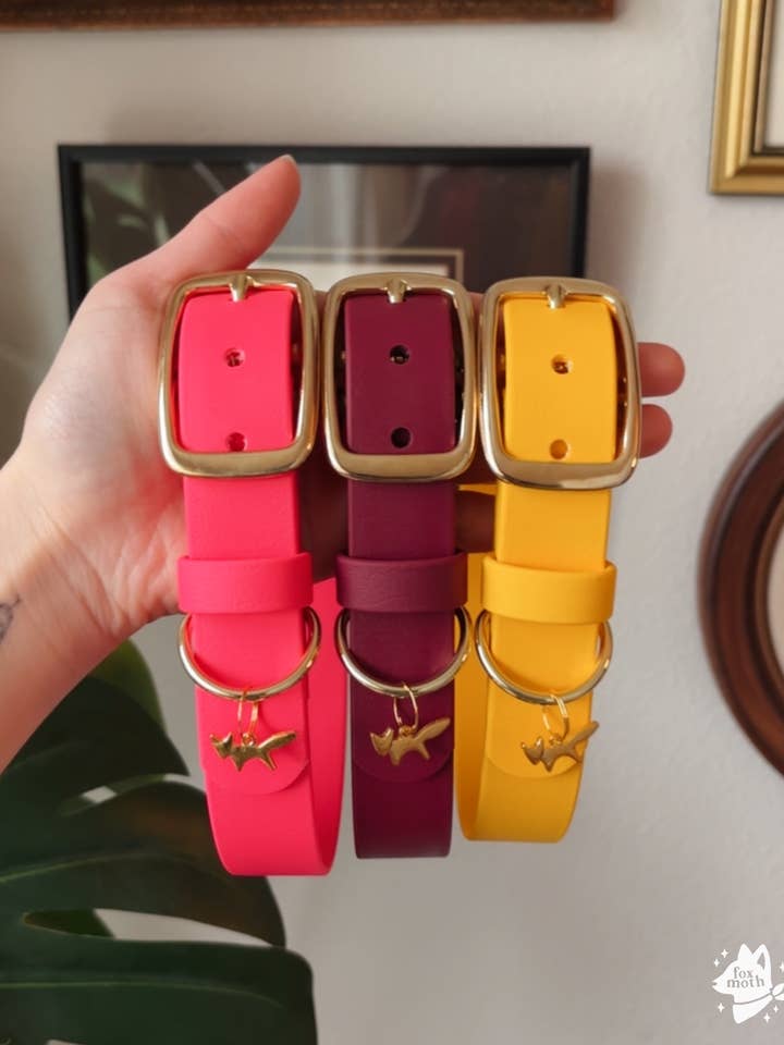 Waterproof Biothane Dog Collar | Warm Autumn Colors for wholesale by FoxMoth