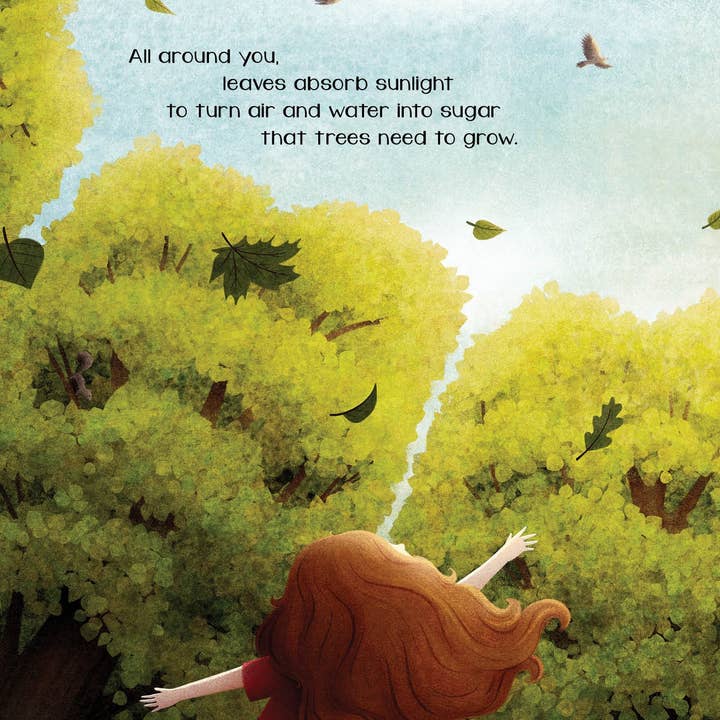 Sleeping Bear Press - Wholesale Book - Kids - The Secret of Fall Picture Book2