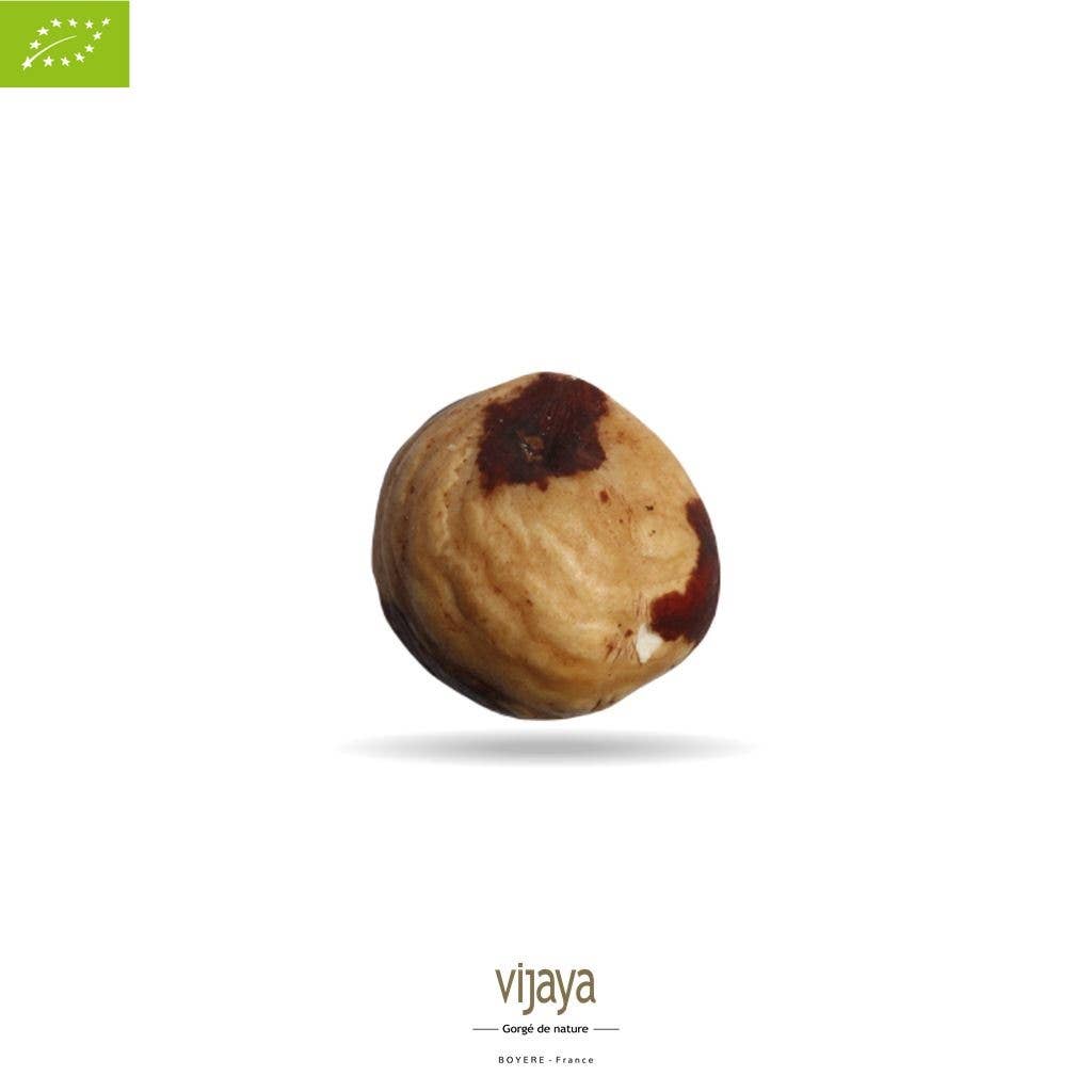 VIJAYA - SAS J.L. BOYERE - Wholesale Nuts - Toasted Shelled Hazelnut - ITALY - 2*5 kg - Organic*0