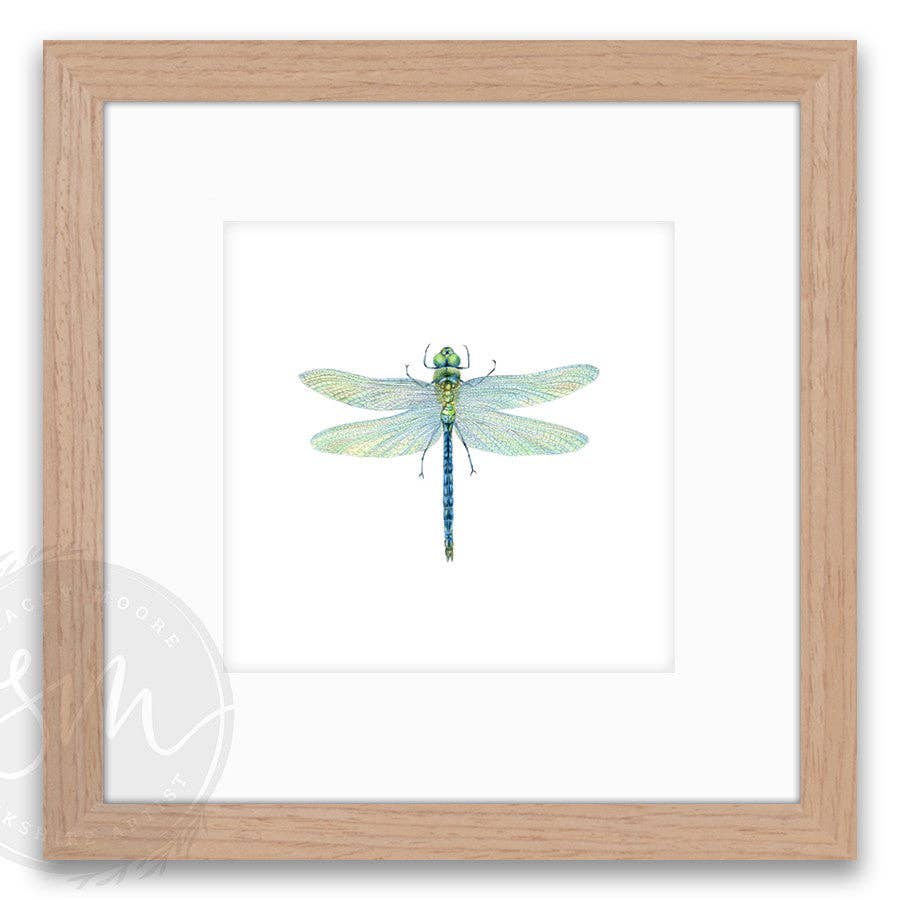 Stacey Moore Ltd - Wholesale Art Print - Dragonfly9