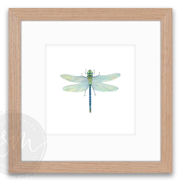 Stacey Moore Ltd - Wholesale Art Print - Dragonfly9