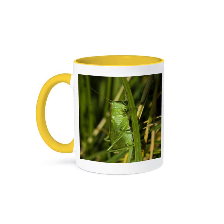 3dRose - Wholesale Coffee Mug - 3dRose, Macro – grasshopper, Mug