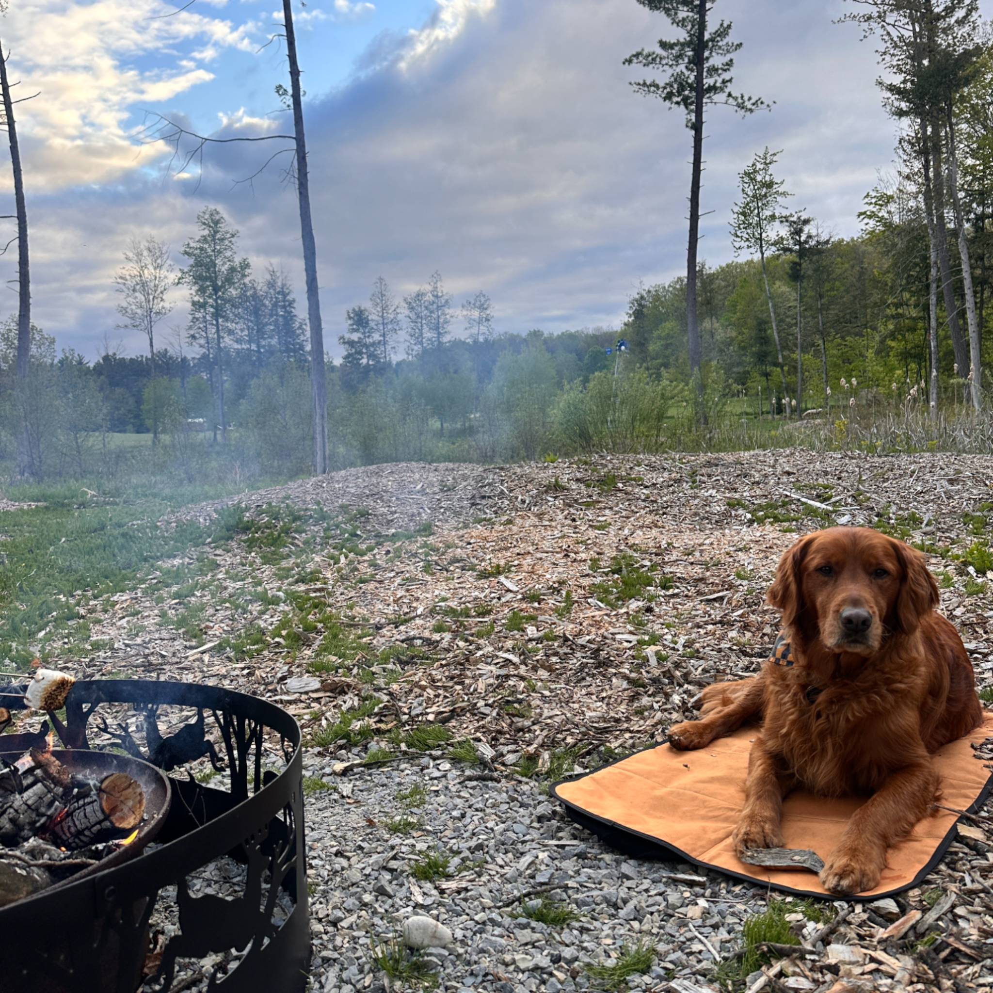 LUWELLO, LLC - Wholesale Pet Bed - Dog - Portable Dog Settle Mat7