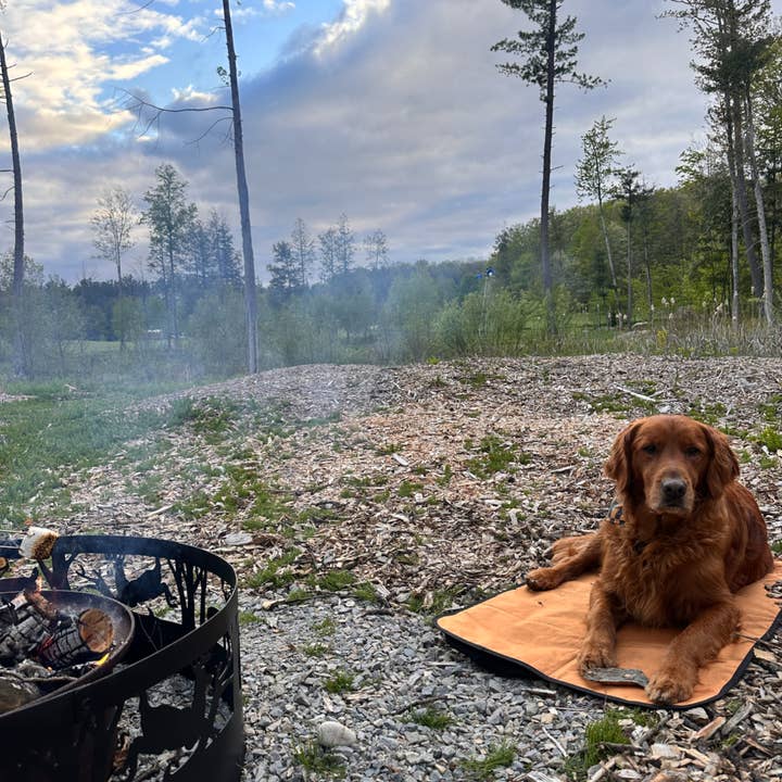 LUWELLO, LLC - Wholesale Pet Bed - Dog - Portable Dog Settle Mat7