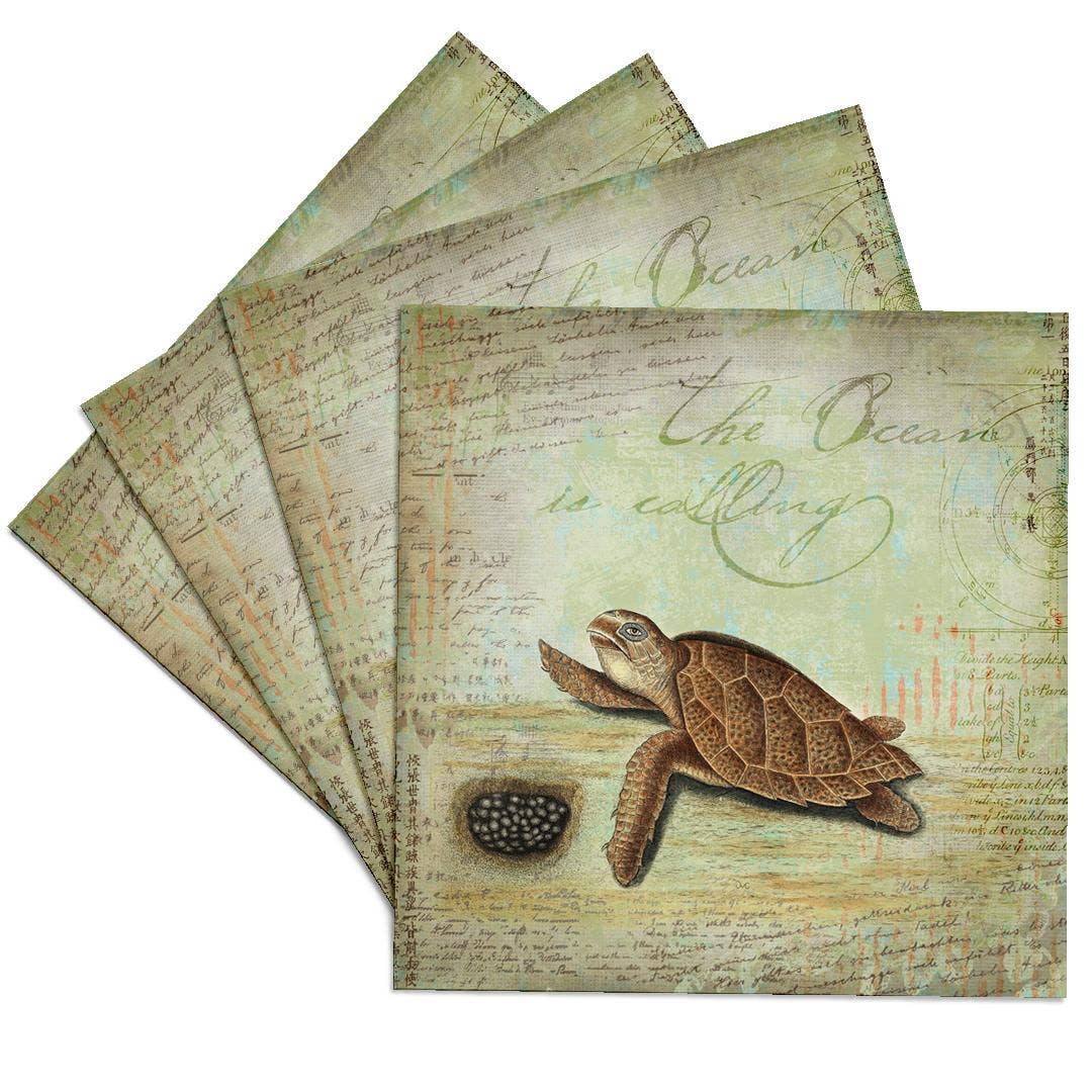 3dRose - Wholesale Coasters - 3dRose, Vintage Illustration Of Sea Turtle And Nest, Coaster0