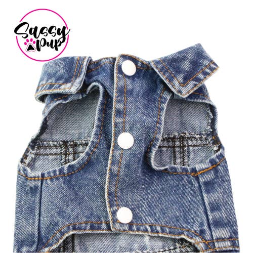 Sassy Pup LLC - Wholesale Pet Jacket - Dog - Distressed Jean Jacket for cats or dogs