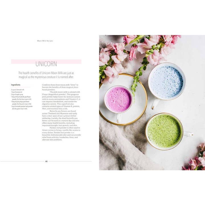 Hachette Book Group - Wholesale Cookbooks & Food - Moon Milk by Gina Fontana2