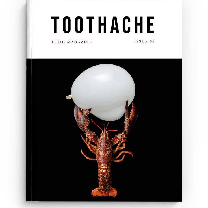 TOOTHACHE MAGAZINE - Wholesale Comic Book - Toothache Issue 06