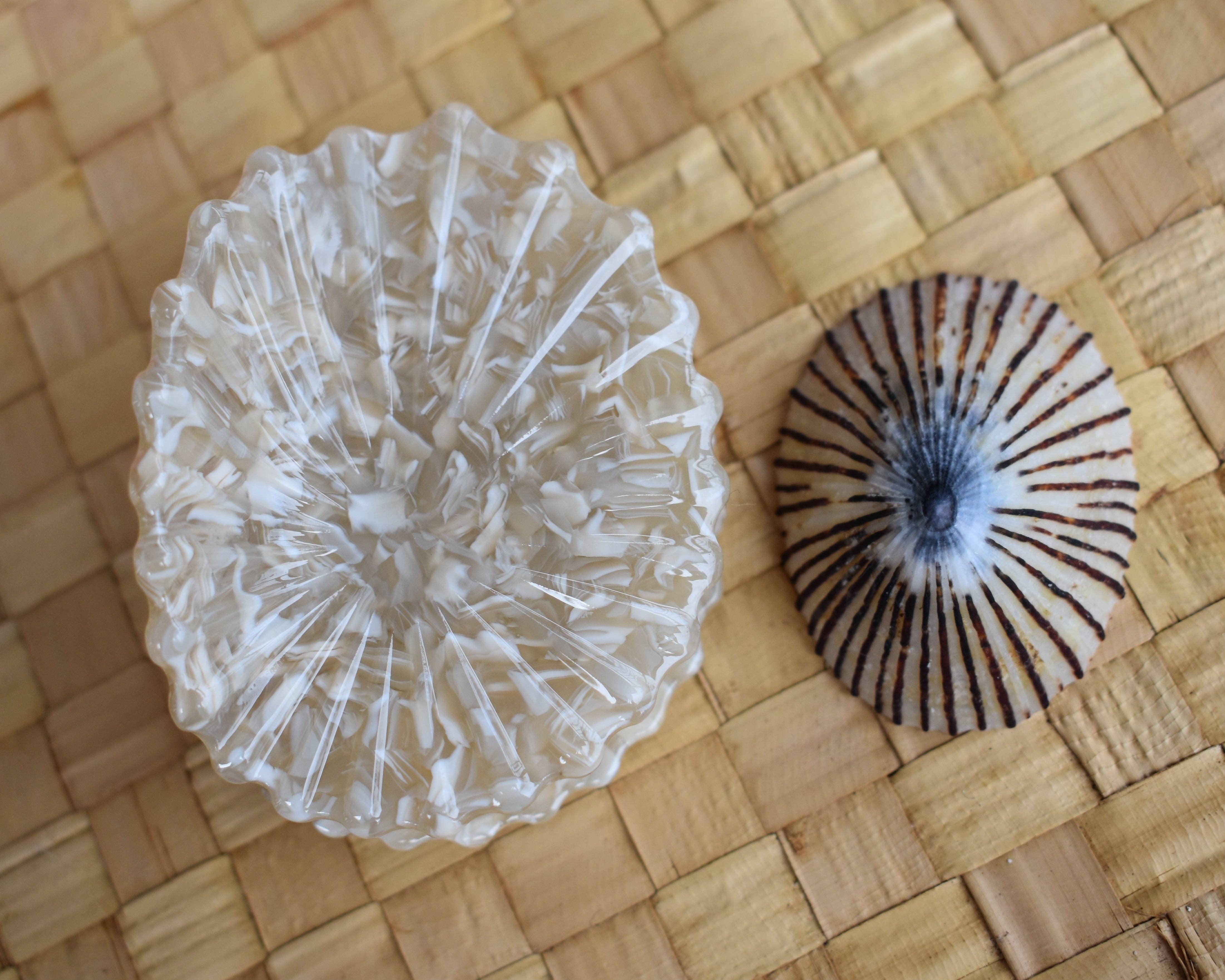 Revel Sun Hawai'i - Wholesale Hair Clip - Women's - 'Opihi Shell Shaped Claw Clip1