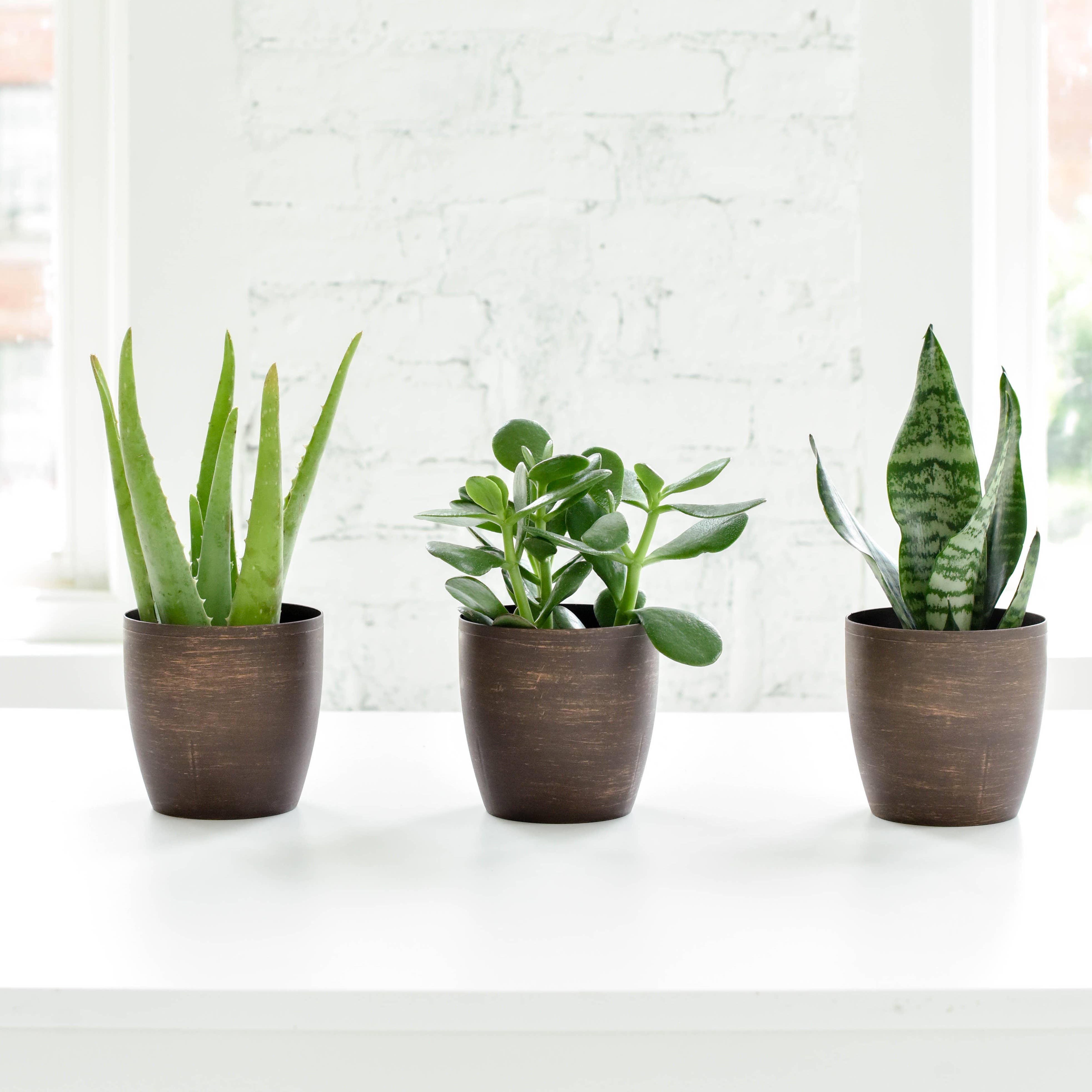 Thorsen's Greenhouse - Wholesale Plant Pot - 4" Decorative Pot Cover for Plants - Multiple Colors8