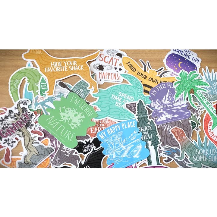 Advice for Life by Your True Nature - Vente Autocollant - Conseils d'un dauphin - Sticker découpé - Grand1