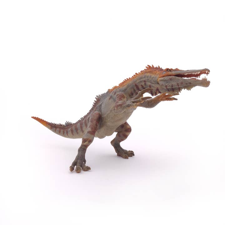 Papo - Wholesale Figurine Toy - Kids - Baryonyx6