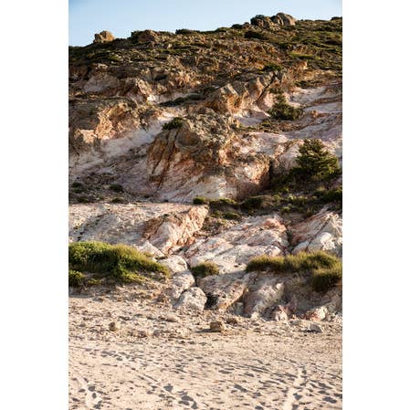 I See Tuffs Of Green - Photographic Print for wholesale by Curate