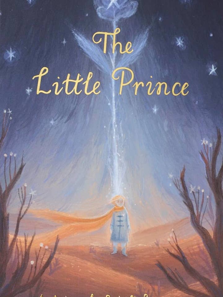 Le Petit Prince | Wordsworth Children's Classics | Livre pour la vente par Marble City Press