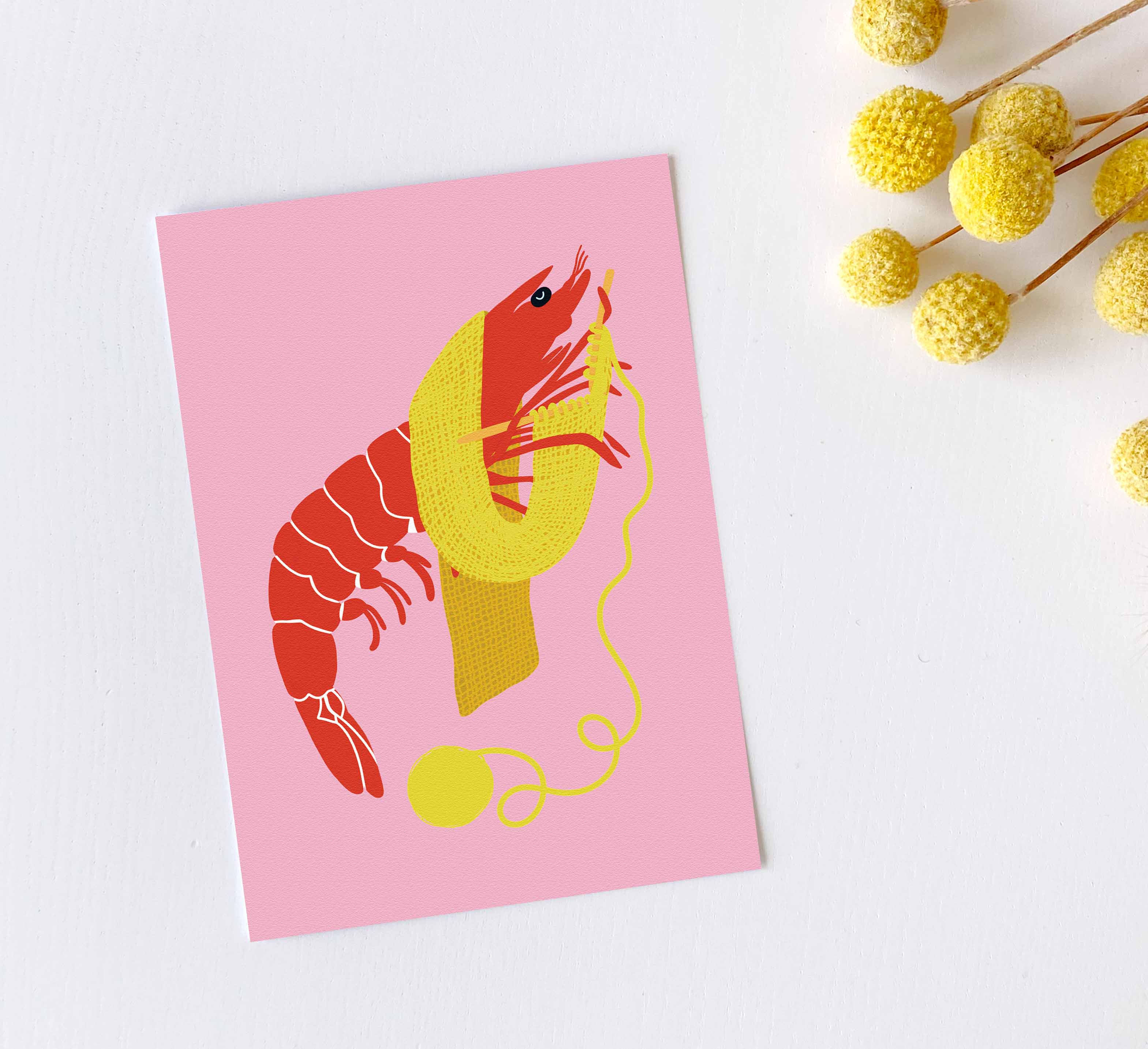Sentient Stories - Wholesale Postcard - Postcard - Shrimp Stitch0