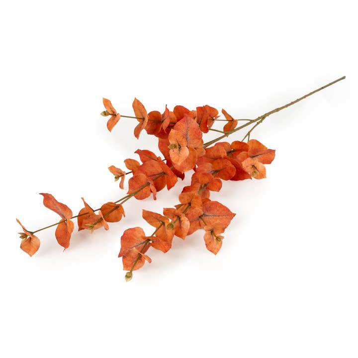 Candlelight Products Ltd – wholesale Artificial flowers – 98cm Money Leaf - Cypress 6pk1