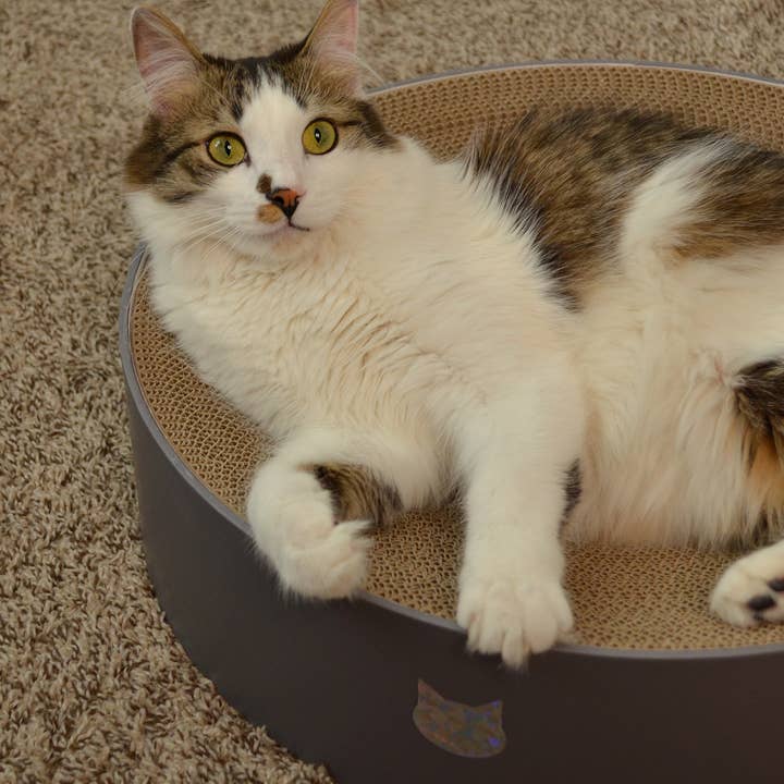 MOON-X USA, INC. - Wholesale Pet Scratcher - Cat - Cozy Cat Scratcher Bowl XL (Hologram Gray)
