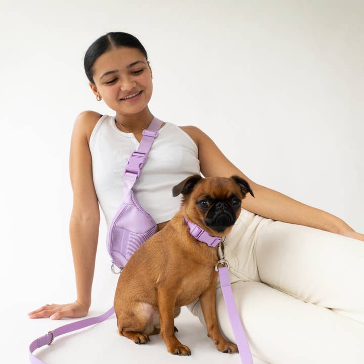 Handsfree hondensling met riem (4 stuks, gemengd) voor wholesale door Springland Pets