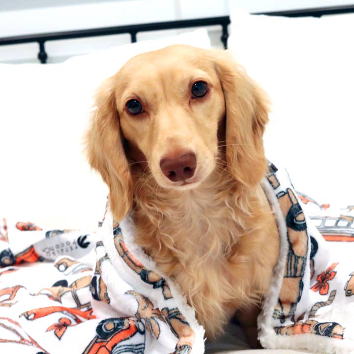 Dawn Patrol Blanket for wholesale by Petals & Pooch