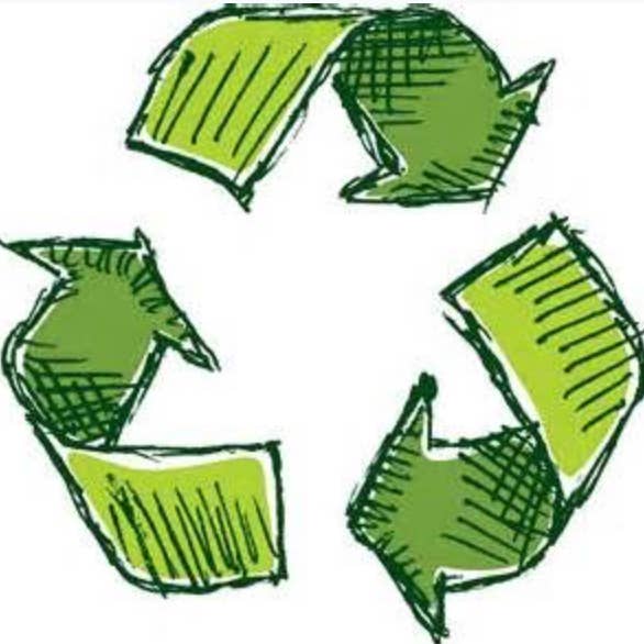 Puzzles That Rock - Wholesale Puzzle - Adult - Great Morel 550-Piece Puzzle1