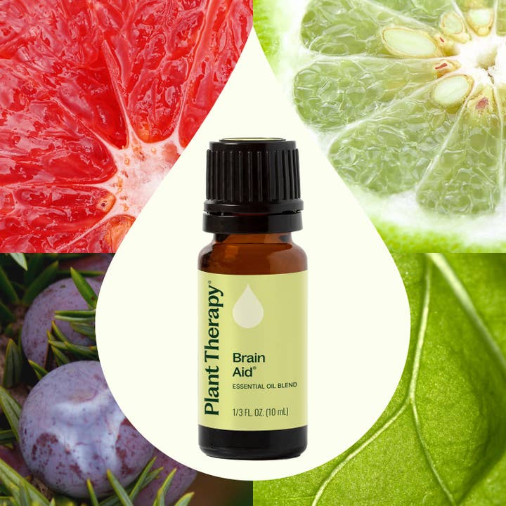 Plant Therapy - Wholesale Essential Oil - Brain Aid Essential Oil Blend 10 mL1