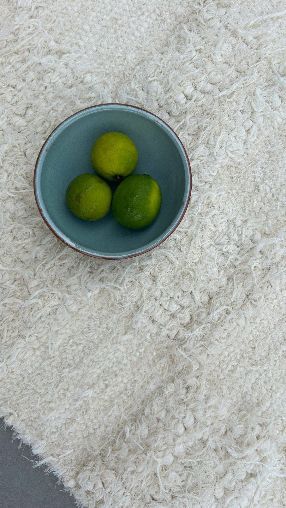 AFK Living - Wholesale Area Rug - Hand-woven recycled cotton rug SUAVE6