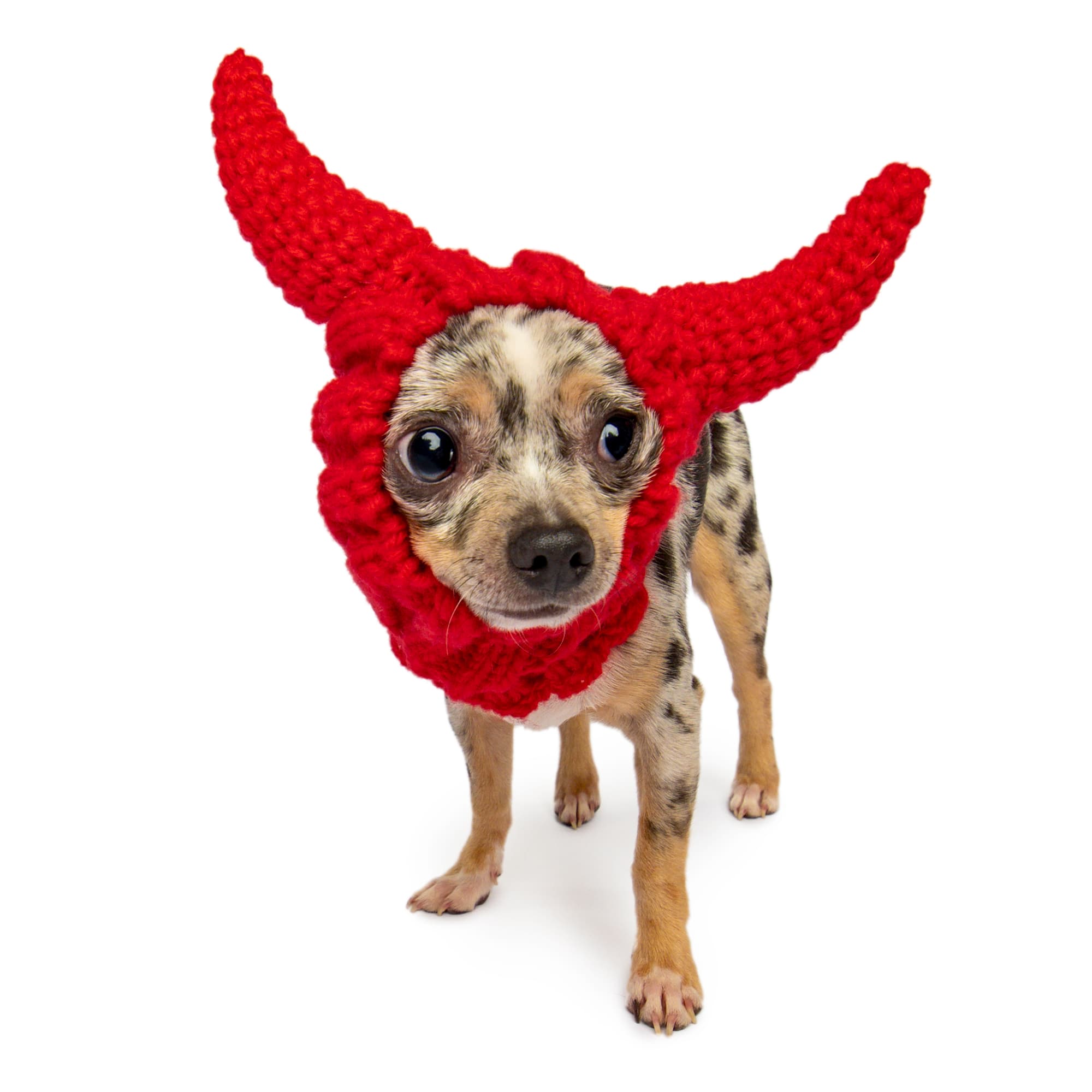 Zoo Snoods - Vente Tour de cou – chien - Snood de chien démon0