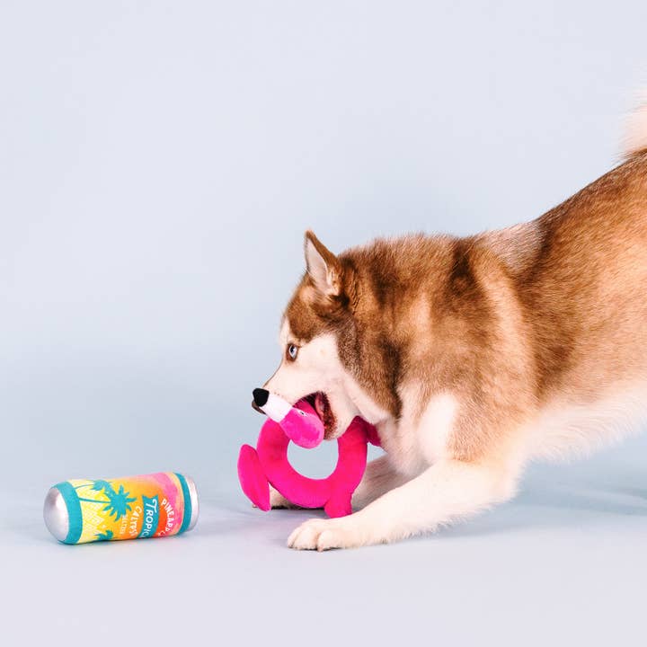 Petshop by Fringe Studio - Wholesale Pet Toy Set - Dog - POOL DAYS, SUN RAYS 2 PIECE DOG TOY SET3