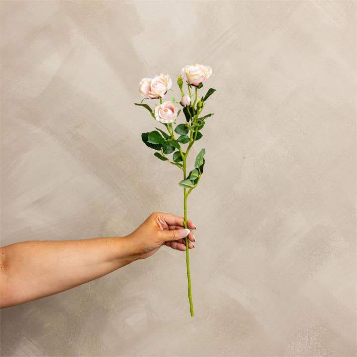 Spray - Mini Rose Lyserød (PK/12) for engroshandel hos Audrey's Home & Gift