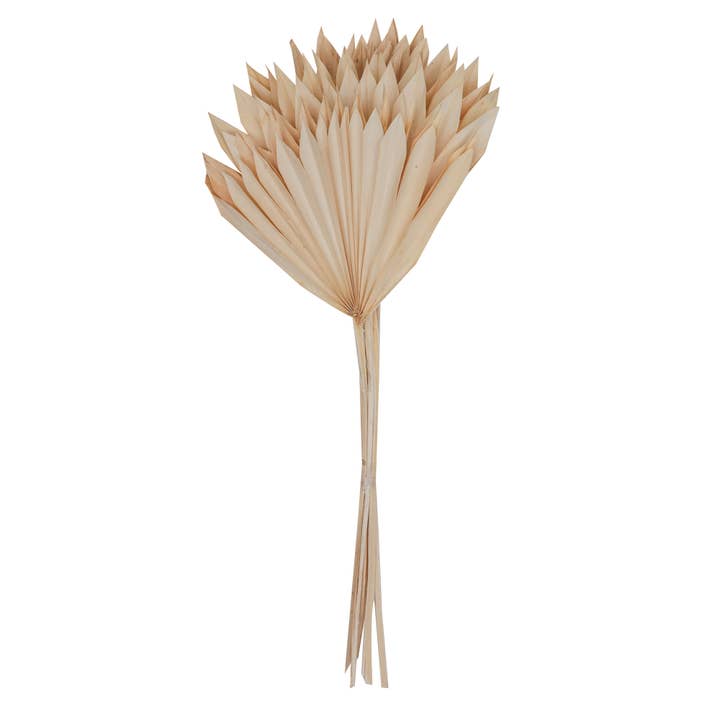 Vickerman 20" Bleached Palm Sun Stem 12 Pcs/Bunch for wholesale by Vickerman