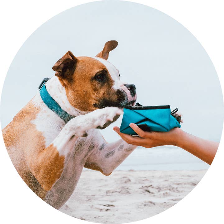 Wildebeest - Wholesale Pet Bowl - Cat/Dog - Montara Pop-Up Travel Dog Bowl6