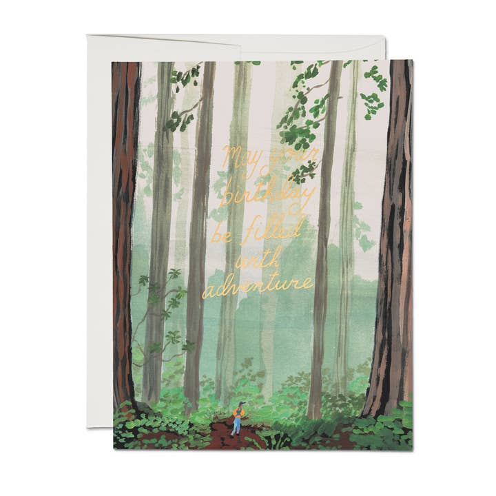 Red Cap Cards - Wholesale Birthday Card - Birthday Adventure birthday greeting card