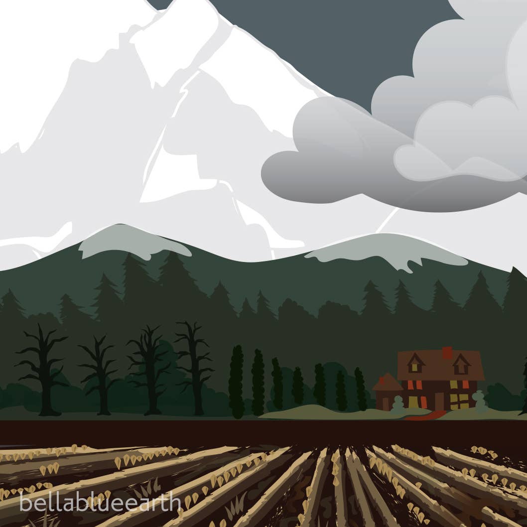 Bella Blue Designs - Wholesale Art Print - Poster Art Print - Bellingham Mud Swans, 12x18"2