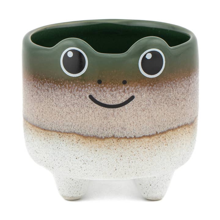 Mojave Frog Planter for wholesale by Sass and Belle