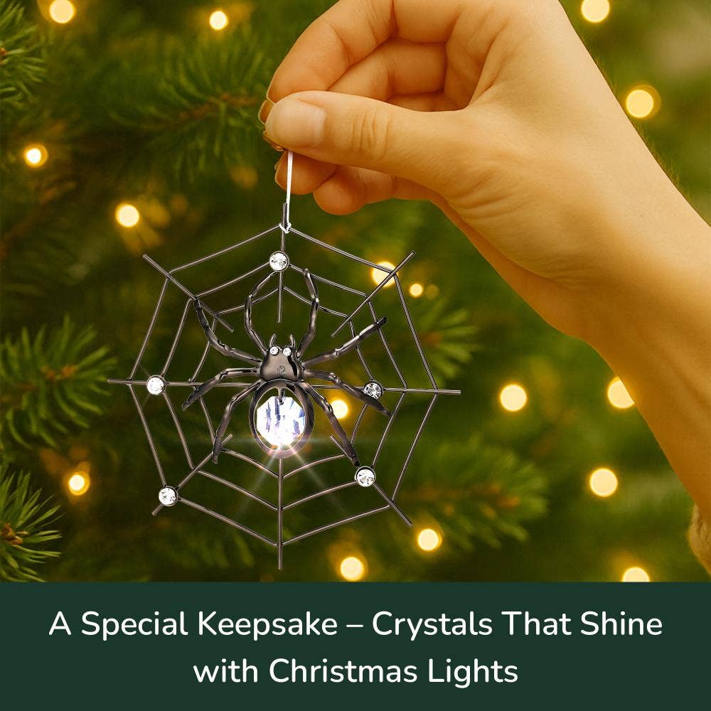 Matashi - Wholesale Ornament - Matashi Black Spider Ornament with Crystal Accents4