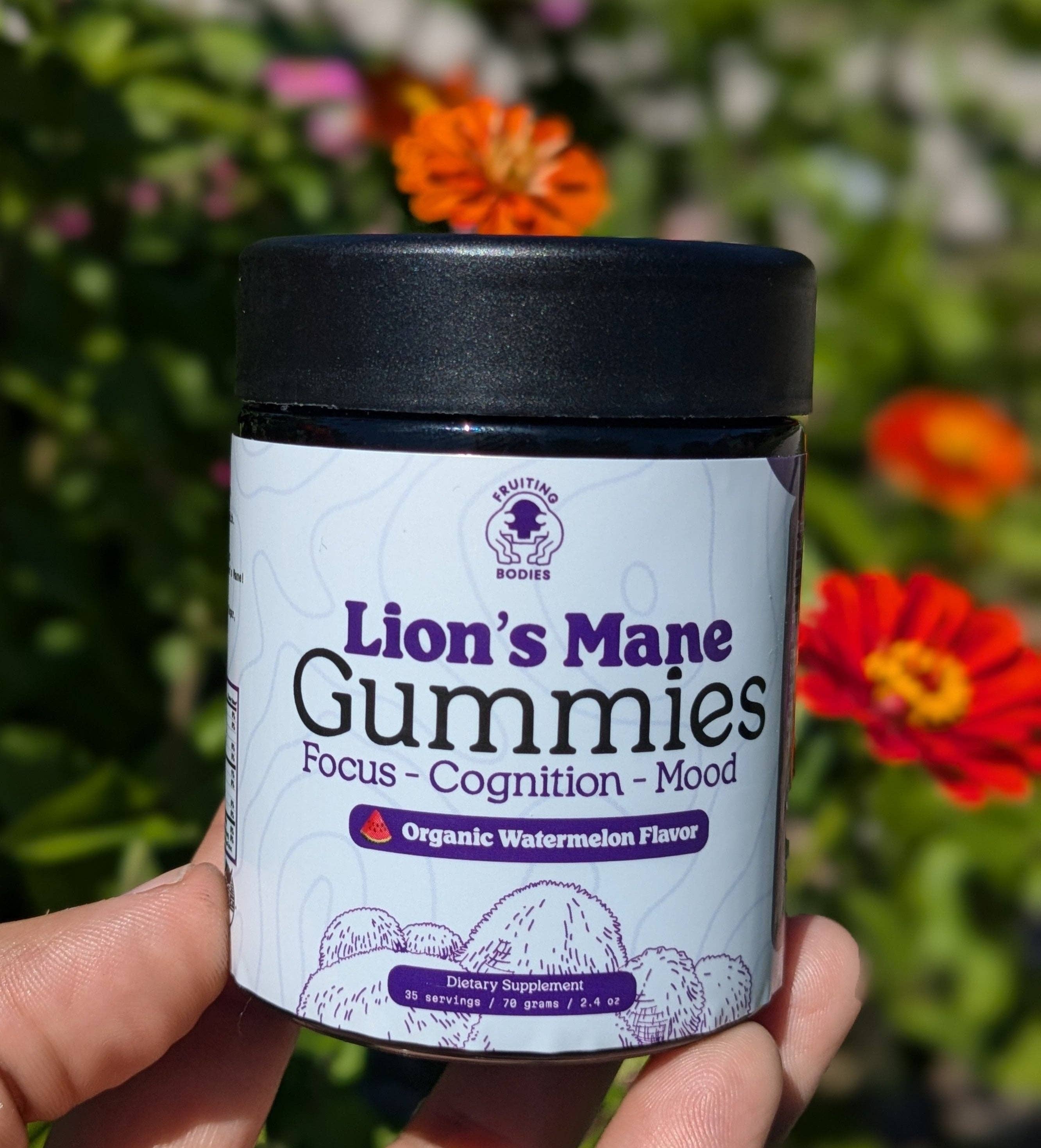 Fruiting Bodies - Wholesale Voedingssupplement/vitamine - Lion's Mane Gummies