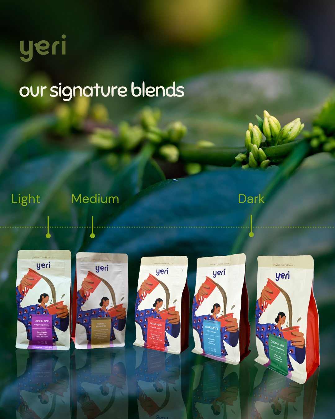 Yeri Coffee - Vendita all'ingrosso Caffè in grani - Monkey Business - Tostatura Media6
