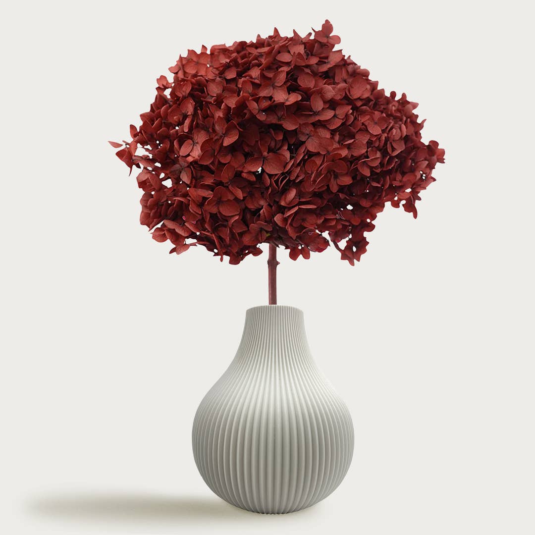 2626 Designs - Wholesale Dried/Pressed Flowers - Dried Preserved Hydrangea Flower 16" with Stem1