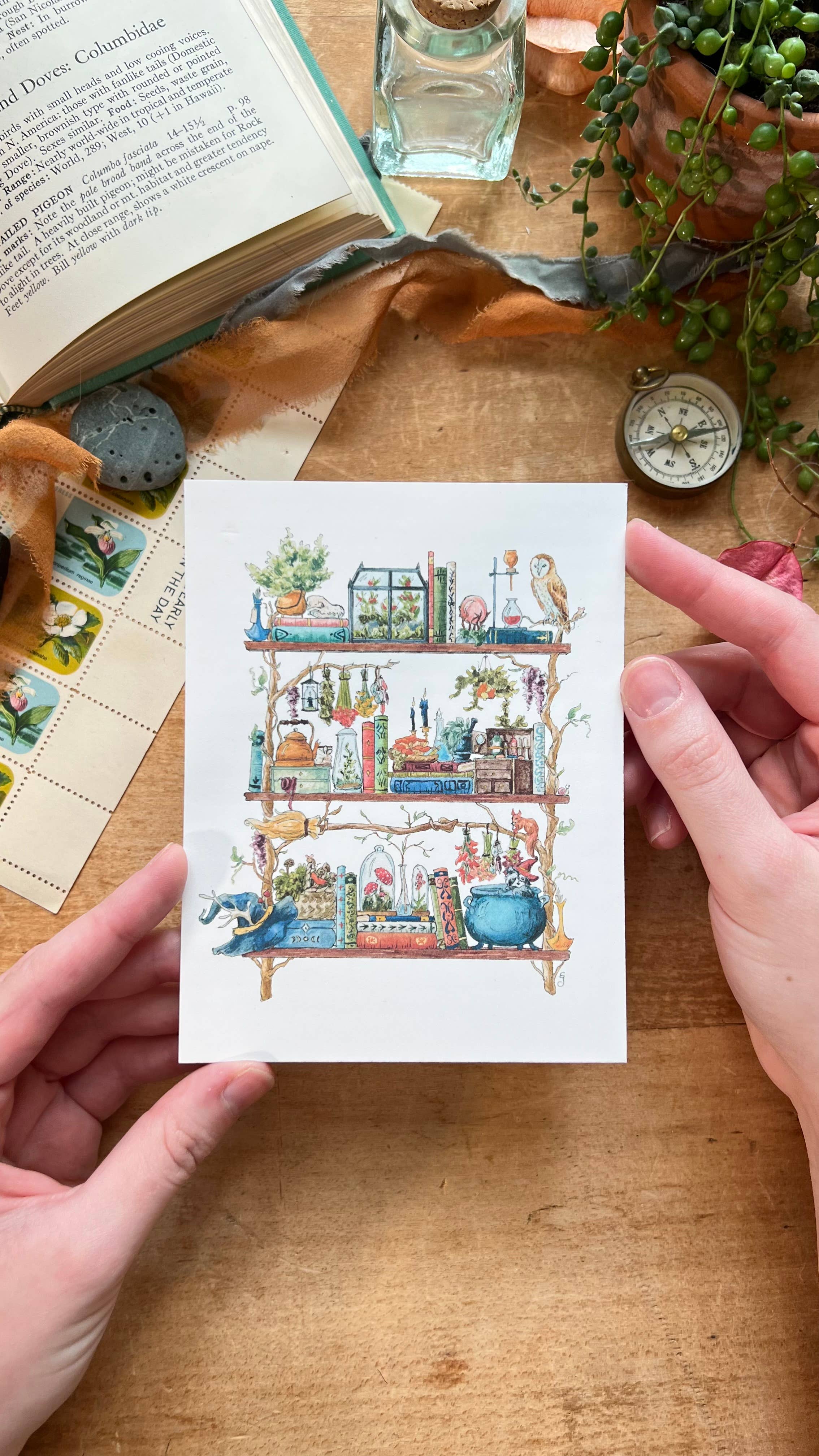 Lizzy Gass - Wholesale Postcard - The Forest Witch's Shelves Postcard8