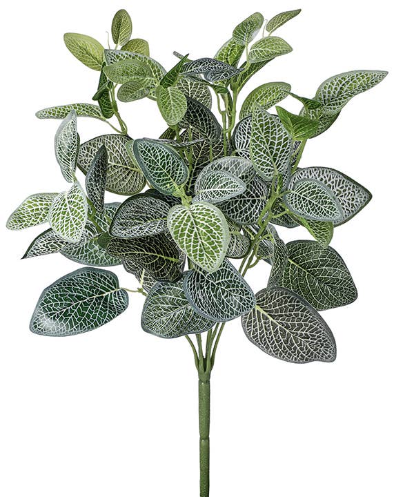 Will's Company - Wholesale Artificial Plant - Artificial Fittonia 'Nerve' Plant, UV Protected - 17"