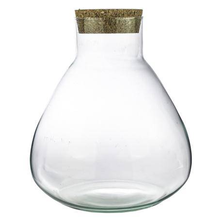 Oasis of Life - Wholesale Terrarium - Terrarium Bottle Sammie – Glass Container for Closed Terrarium or Bottle Garden – Decorative Plant Container ↕26.5cm0
